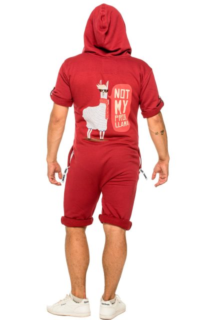 Комбинезон Llama